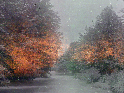 Fruhauf Siegfried: A VintagePrint 1