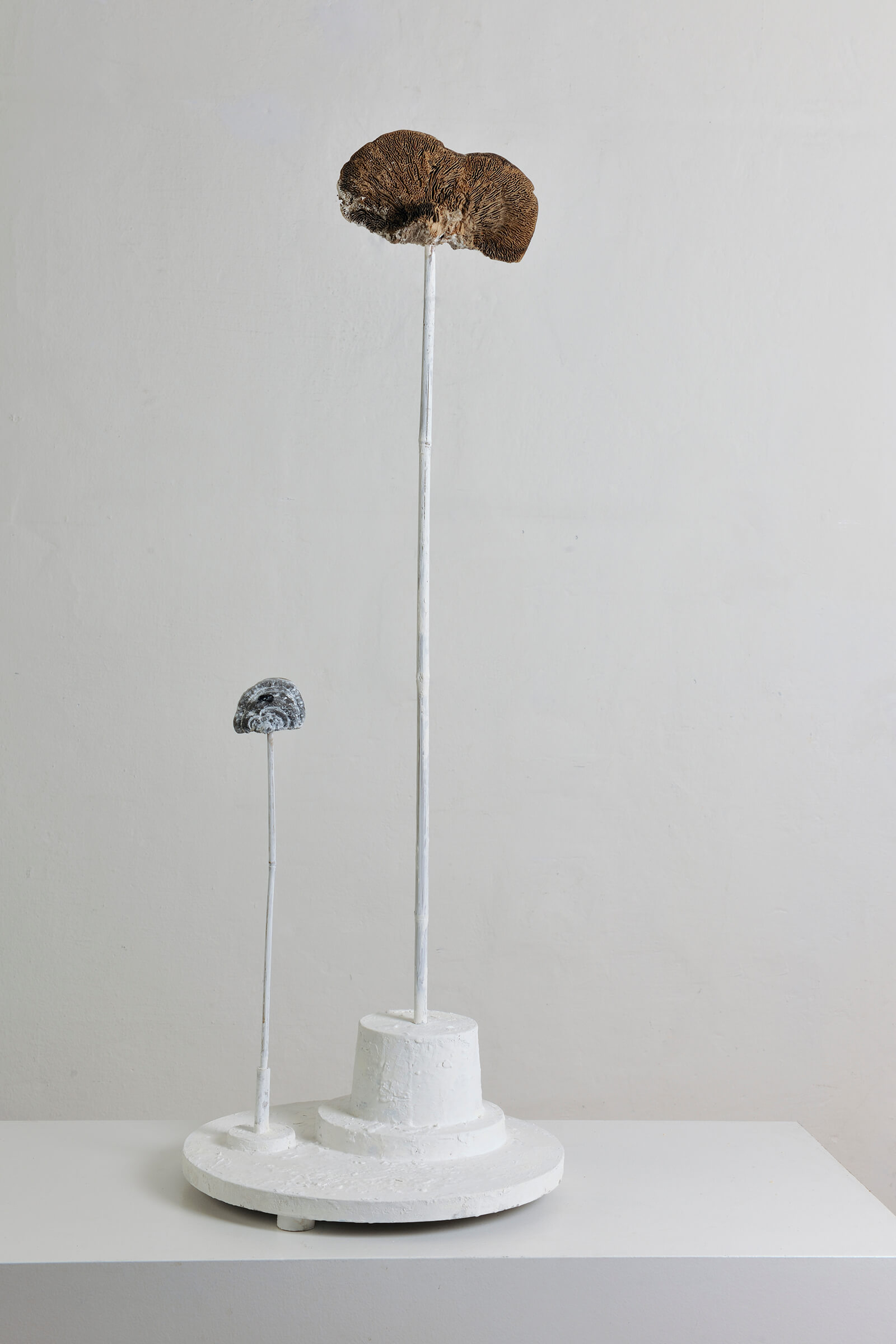 Gerhard Knogler ohne Titel