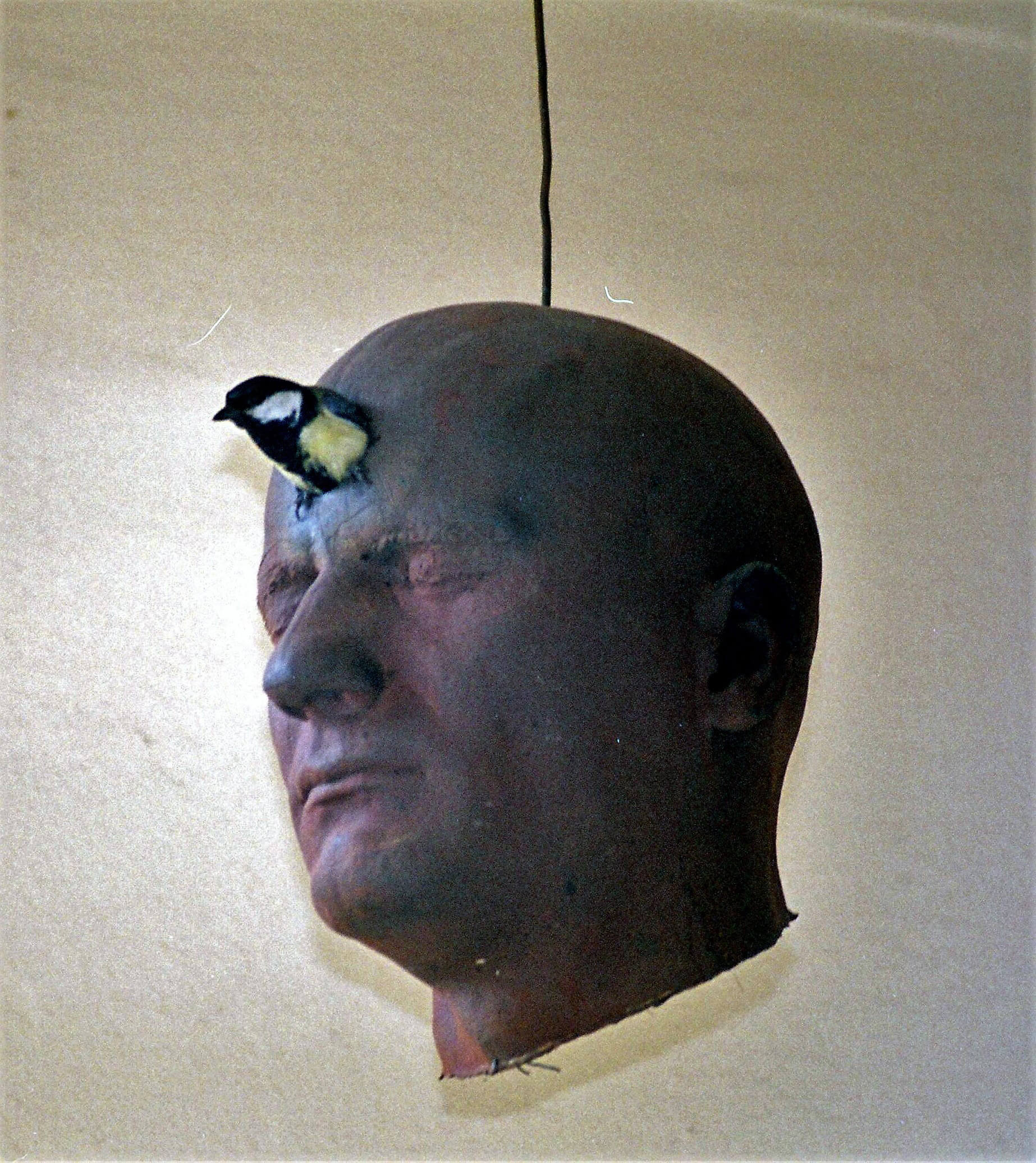 Gölz Klaus Nistkasten 2001