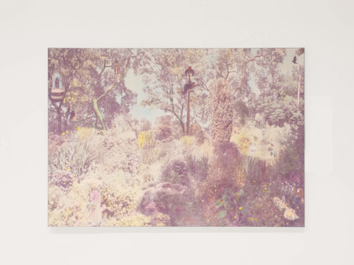 Monika Pichler: „souvenir“