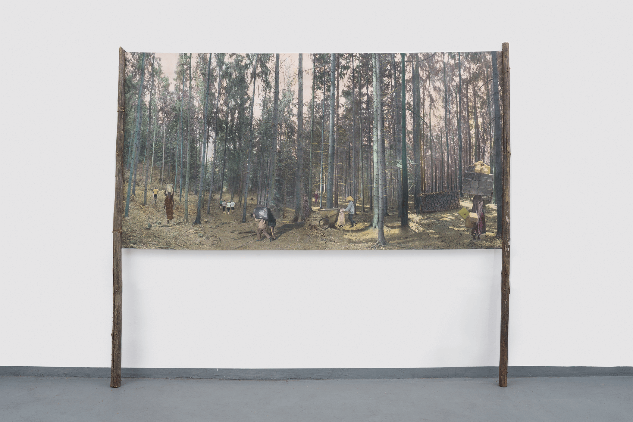 Monika Pichler: „straying“