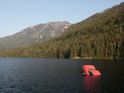 Rainer Noebauer SIN-KING